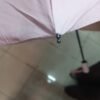 21 Inch *8 Balillas Doble Tela Automatic - Image 9