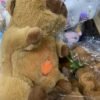 Capibara Respirar - Image 3