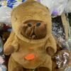 Capibara Respirar - Image 2