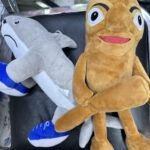 Imagen anterior del producto