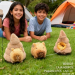 Imagen anterior del producto