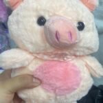 Imagen anterior del producto