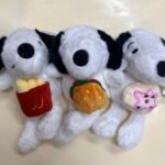 Imagen anterior del producto