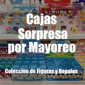 Cajas Sorpresa / Blind Box por Mayoreo